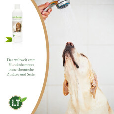 Hundeshampoo | Bio | sanfte Fellpflege ohne Chemie &amp; Seife | gegen Juckreiz | hypoallergen | mit original marokkanischer Lavaerde | 250 ml | neuer Glanz f&uuml;r Kurz- und Langfell