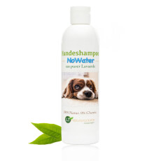 Hundeshampoo NoWater | Bio | sanfte Pflege ohne...
